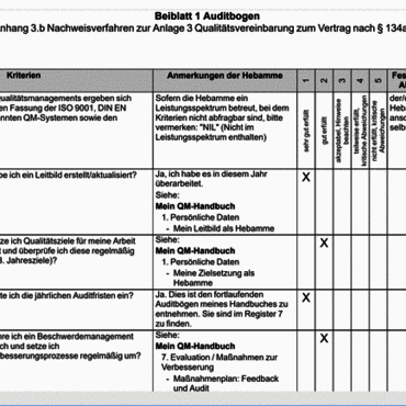 Screenshot QM EXPRESS, Ansicht des fertigen Auditbogens